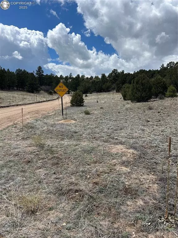 Cotopaxi, CO 81223,47 White Cloud DR