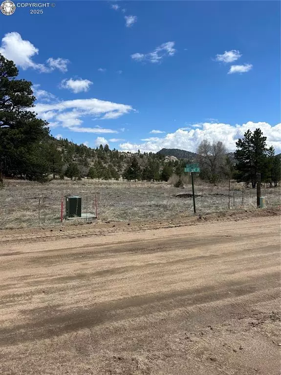 Cotopaxi, CO 81223,47 White Cloud DR