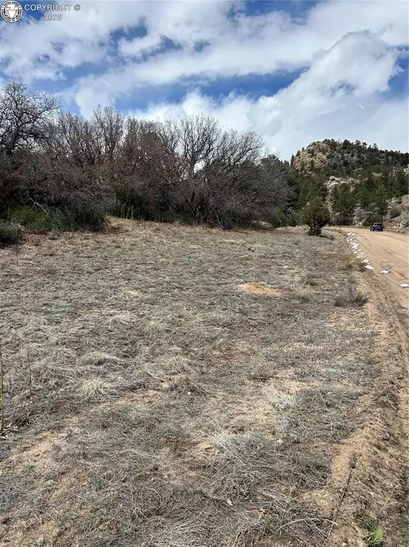 Cotopaxi, CO 81223,47 White Cloud DR