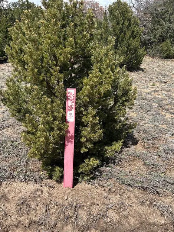 Cotopaxi, CO 81223,47 White Cloud DR