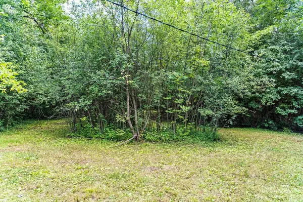 Plymouth, MI 48170,15708 Park LN