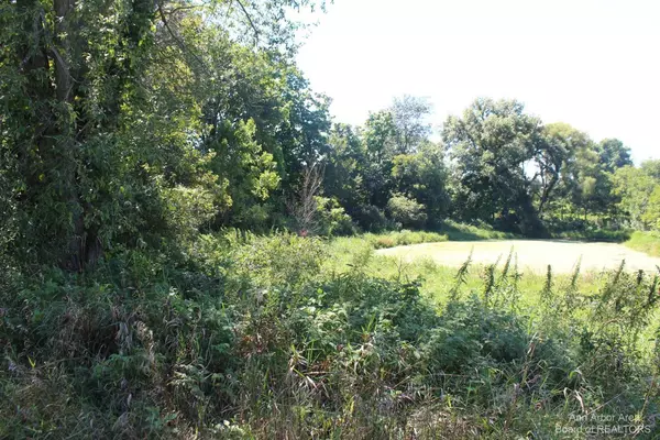 Grass Lake, MI 49240,0 Burtch #D