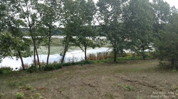 Grass Lake, MI 49240,0 Seymour RD