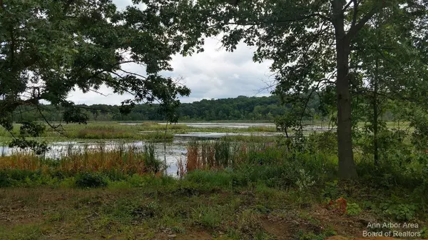 Grass Lake, MI 49240,0 Seymour RD