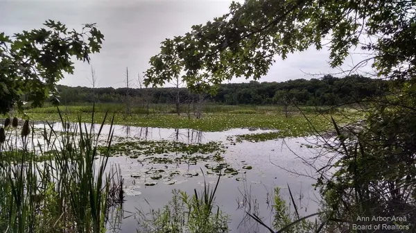 Grass Lake, MI 49240,0 Seymour RD