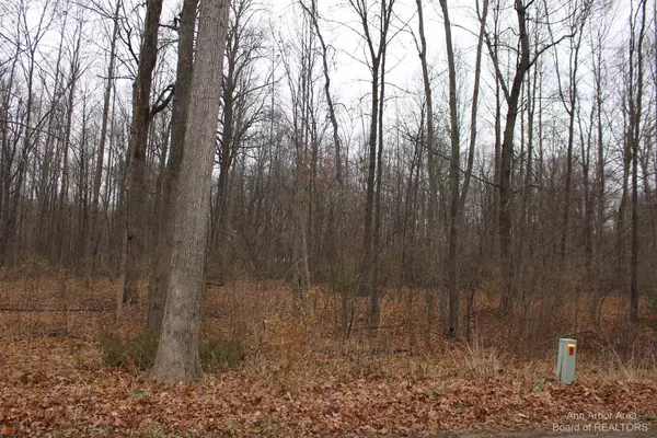 Grass Lake, MI 49240,0 Orban Parcel B RD