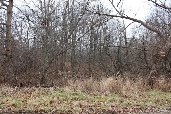 Grass Lake, MI 49240,0 Orban Parcel 1 RD