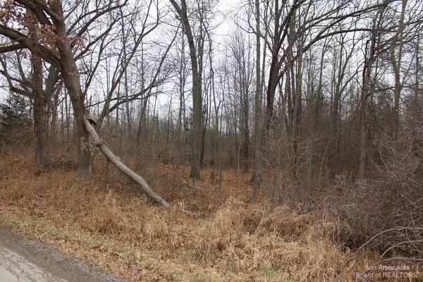 Grass Lake, MI 49240,0 Orban Parcel 1 RD