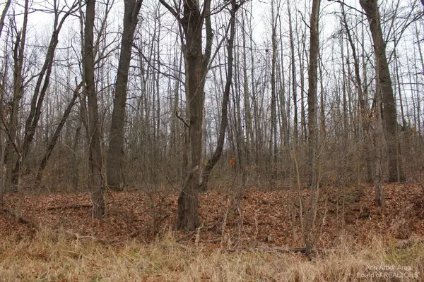 Grass Lake, MI 49240,0 Orban Parcel 1 RD