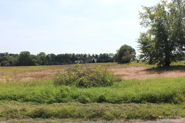 Grass Lake, MI 49240,0 Curtis RD