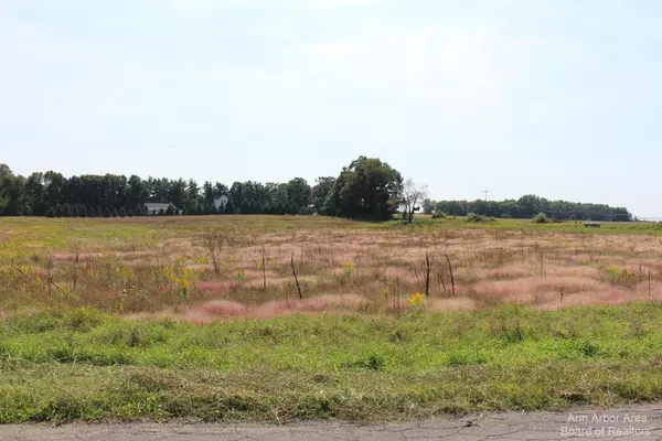 Grass Lake, MI 49240,0 Curtis RD