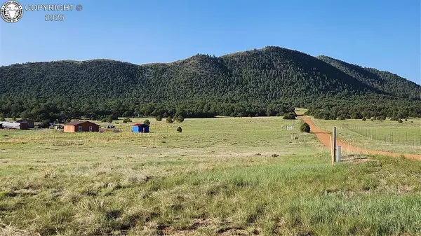 Texas Creek, CO 81223,310 Sleepy Hollow TRL