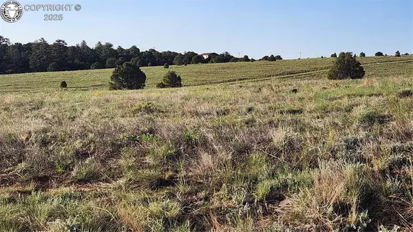 Texas Creek, CO 81223,310 Sleepy Hollow TRL