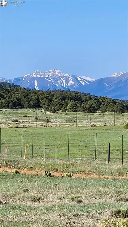 Texas Creek, CO 81223,310 Sleepy Hollow TRL