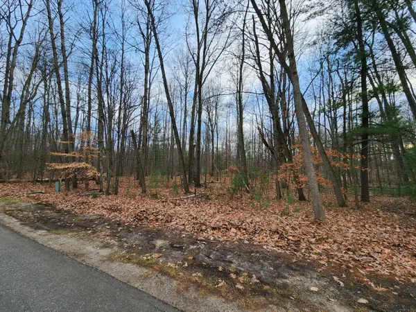 Stanwood, MI 49346,11389 Heather LN