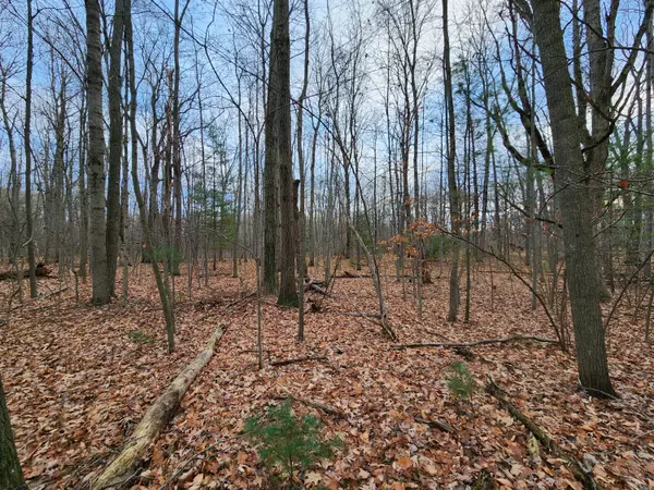 Stanwood, MI 49346,11389 Heather LN