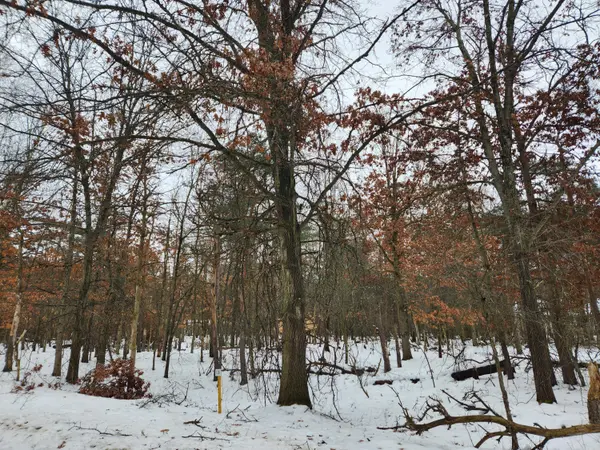 Canadian Lakes, MI 49346,10083 Evergreen LN