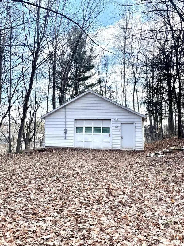 Big Rapids, MI 49307,313 W Spruce ST