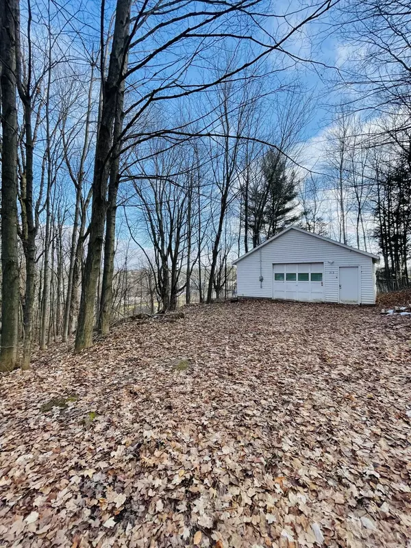 Big Rapids, MI 49307,313 W Spruce ST