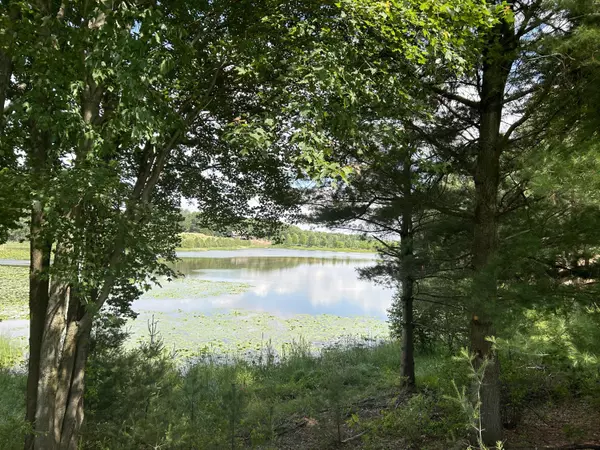 Canadian Lakes, MI 49346,6980 Bantry Bay CT #7