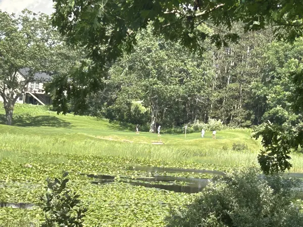 Canadian Lakes, MI 49346,6980 Bantry Bay CT #7