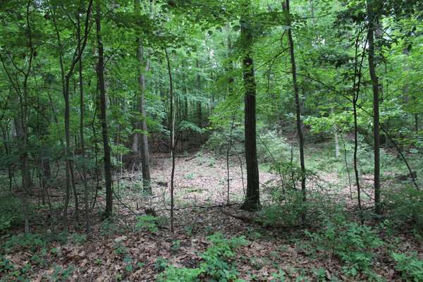 0 Riker RD, Chelsea, MI 48118