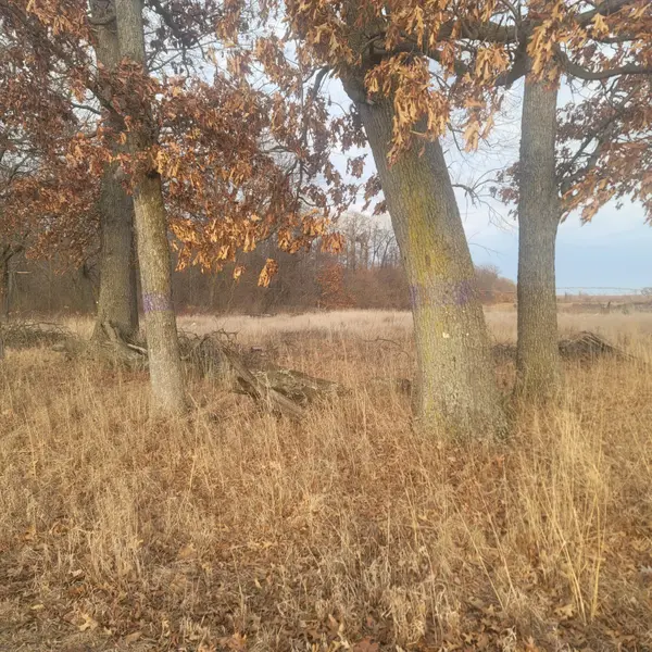 65515 Sevison Rd RD, Constantine, MI 49042