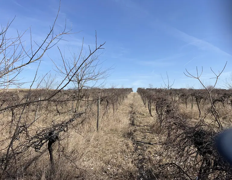 0 Wagner RD, Buchanan, MI 49107