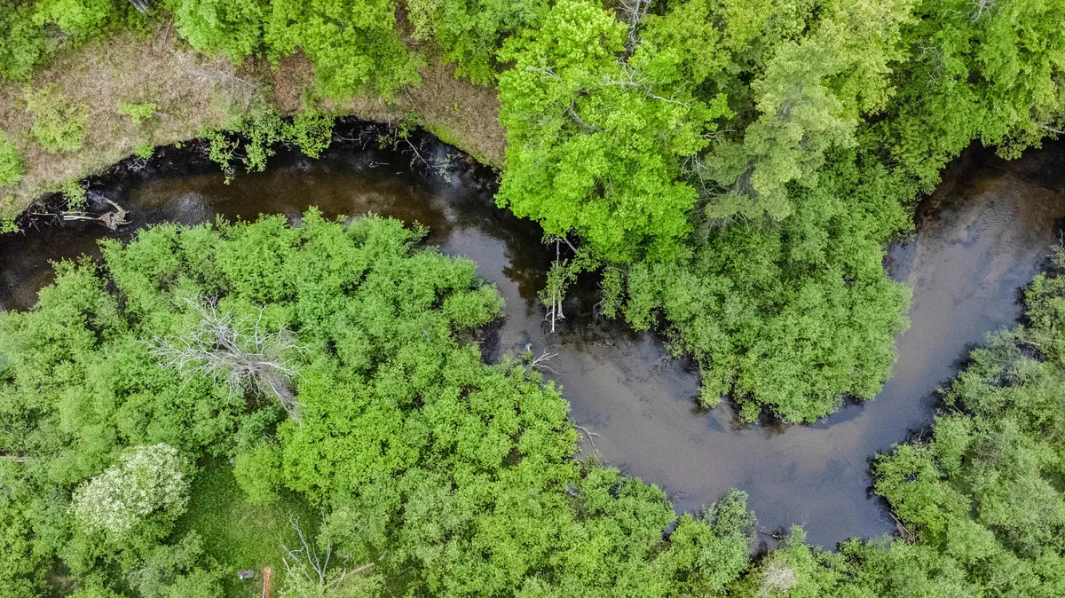 Irons, MI 49644,V/L East Pomeroy Springs Rd