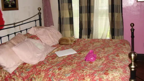 711 N Eaton ST, Albion City, MI 49224