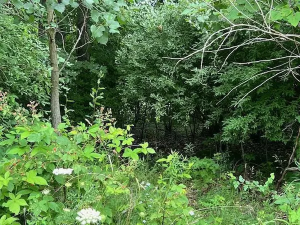 Marshall, MI 49068,0000 Oak Ridge HLS #7