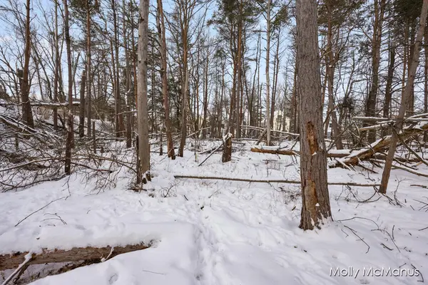 Ferrysburg, MI 49409,V/L Sunset TRL