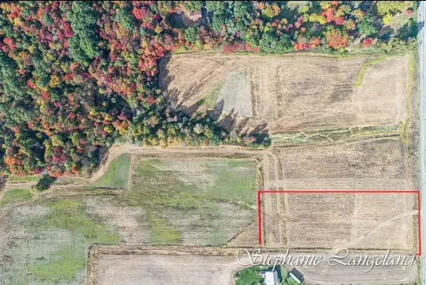 Ravenna, MI 49451,Parcel B - Blackmer RD