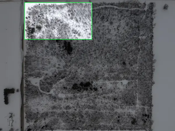 Snover, MI 48472,LOT A Ubly Road