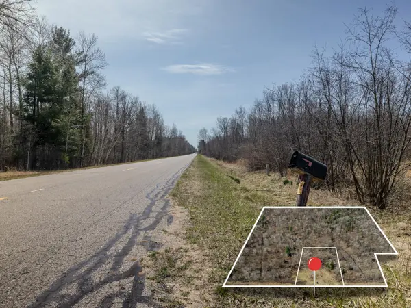 Beaverton, MI 48612,V/L S Wieman Rd