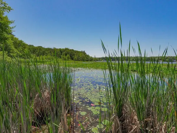 Grand Junction, MI 49056,50th Vacant Lake Land 1 ST