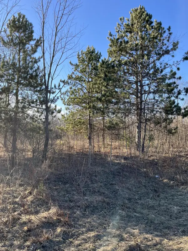 60th Street ST, South Haven, MI 49090