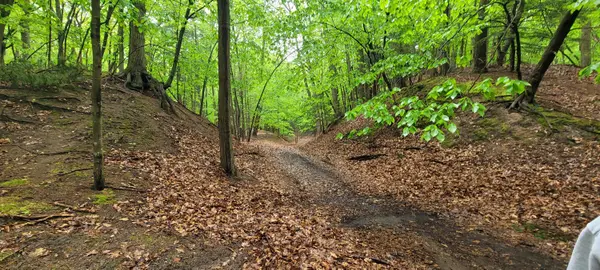 Pentwater, MI 49449,Avenue D