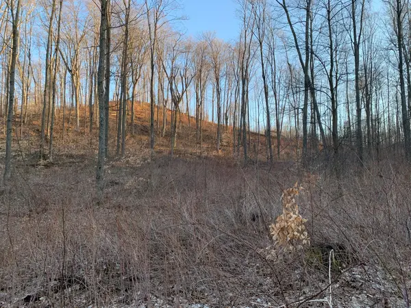 Bear Lake, MI 49614,Chief ''O'' RD