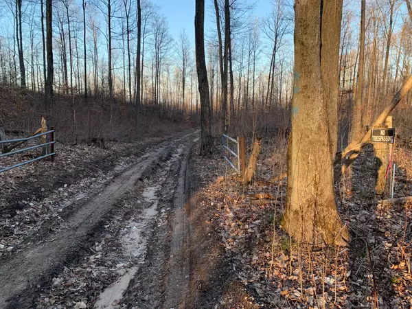 Bear Lake, MI 49614,Chief ''O'' RD