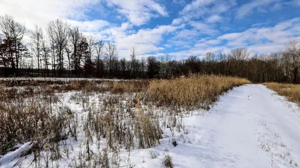 Albion, MI 49224,VL F Drive N #Lot#WP001