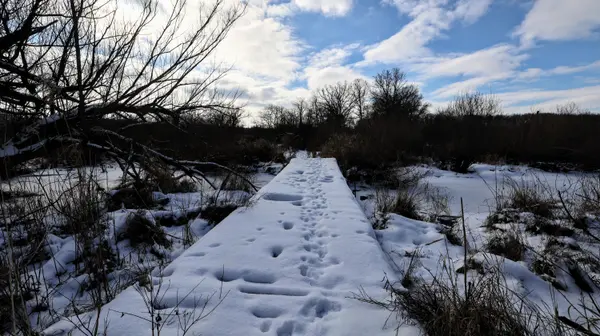 Albion, MI 49224,VL F Drive N #Lot#WP001