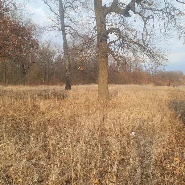 Constantine, MI 49042,65515 Sevison Rd RD