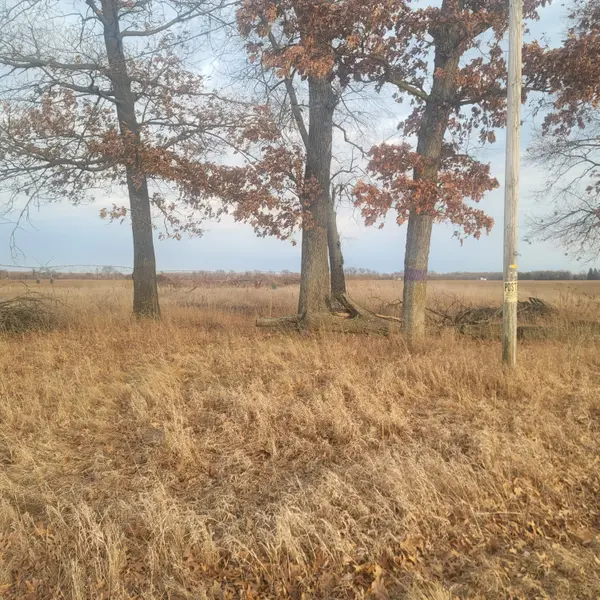 Constantine, MI 49042,65515 Sevison Rd RD