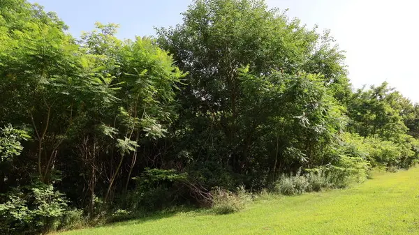 Leonidas, MI 49066,30879 M-60