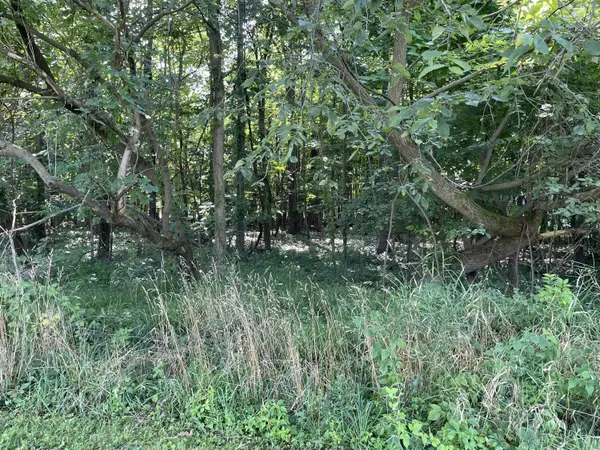 Watervliet, MI 49098,915 & 927 Western AVE