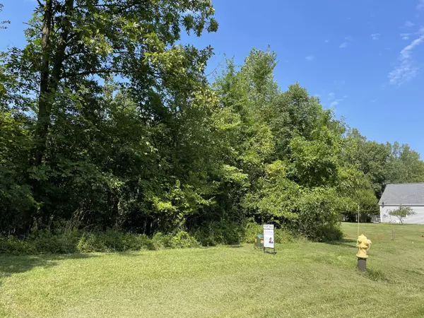 Watervliet, MI 49098,704 & 712 Courtyard PL