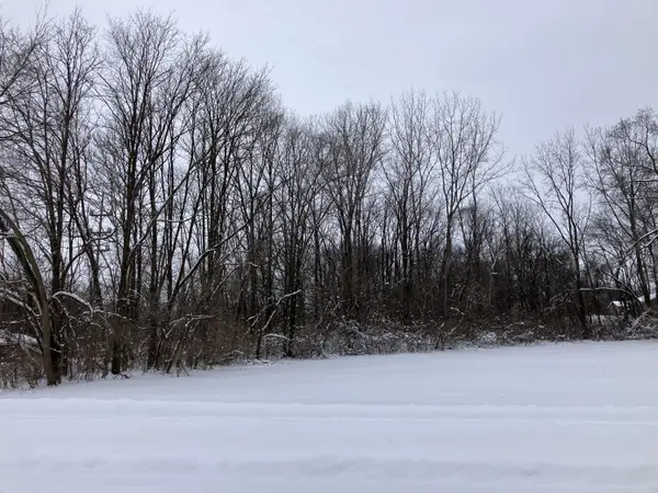 Dowagiac, MI 49047,400 S Lowe ST