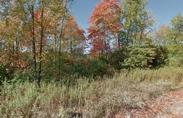 Cassopolis, MI 49031,0 Forest Shores DR #22