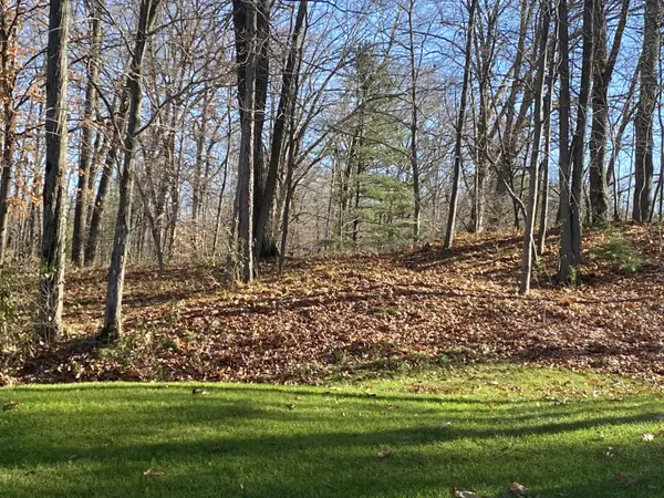 Canadian Lakes, MI 49346,8975 Whispering LN #234-235